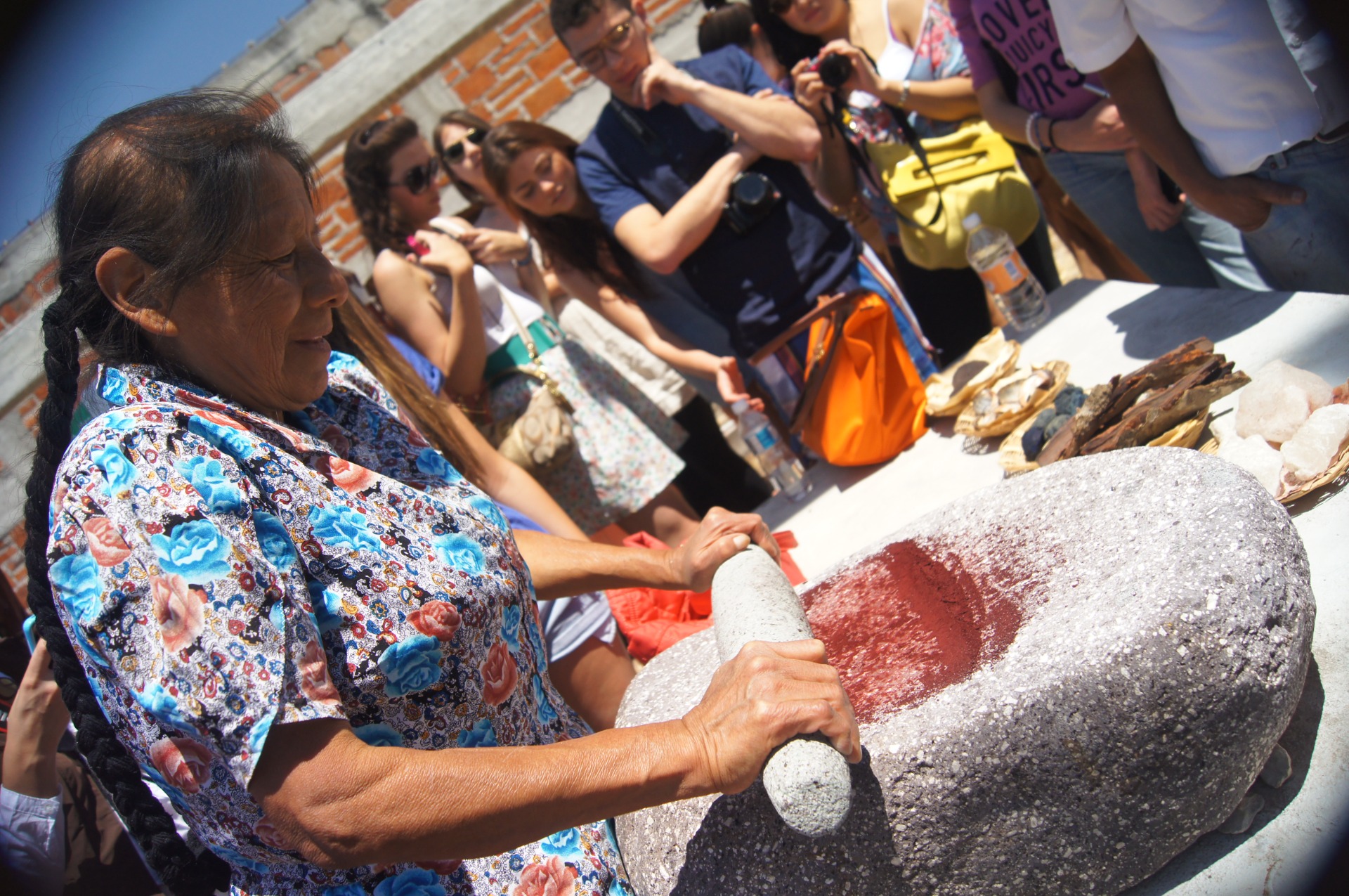 Doña Rosario moliendo grana en el metate / Doña Rosario grinding cochineal in the metate